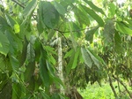 48060CIMG4397.JPG