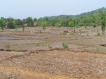 500020042008(14).JPG