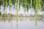 2024-11-21_17-14-50_CEF28CC2-1D0F-43F8-88C6-6B40C349BA16.jpeg