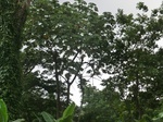 45253CIMG2338.JPG