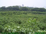 990R0015332_tag.jpg