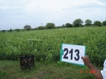 127640213a-rainfed-agriculture-mixedcrop-soyabean-gram.gif