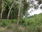 50587CIMG1216.JPG