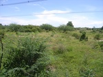 26207RIMG0259.JPG