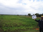 10878gt-085-wetland-limpopo-flood-plain-02.jpg
