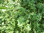 25800P1020219.JPG