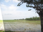 14378IMG_4720.JPG