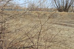 43608CIMG0440.JPG