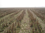 8441IMG_0266.JPG