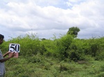 1051450-scrubland-very-dwarf-valley-bottom-b.gif