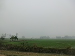 40145CIMG9211.JPG