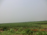 32920CIMG2065.JPG