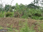 50701CIMG1330.JPG