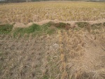 4646RIMG0071.JPG