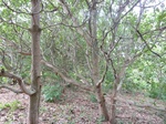 21024P1020894.JPG