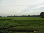 21976DSC00082.JPG