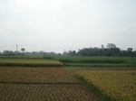 21871DSC08462.JPG