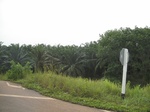 33644IMG_5833.JPG