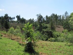 32120IMG_0092.JPG