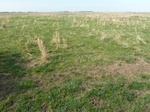 28760P1040248.JPG