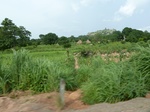 20842P1020702.JPG