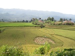 13779IMG_4041.JPG