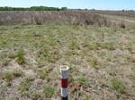 29247BUTL20110428S.JPG