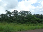 25185P1020025.JPG