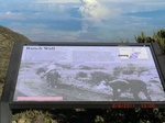 36233CIMG3428.JPG