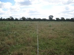 43137NSW002_L5.jpg