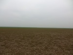51601CIMG0212-neuclear zone 8.JPG