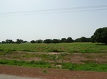 18960P1000804.JPG