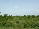 18896P1000738.JPG