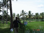 60240100a-irrigated-canal-sugarcane-dominant-rice-doublecrop.jpg
