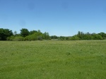 54276P1090026.JPG