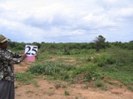 1177825-cropland-chena-1yr-fallowb.jpg
