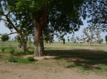 19110P1000955.JPG