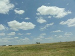 36003DSC02274.JPG