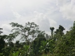 49537CIMG5874.JPG