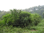 15314IMG_4152.JPG