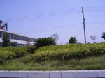 3545 113.jpg