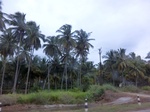 43355CIMG6409.JPG