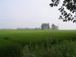 1205R0015052_small.jpg