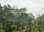 48899CIMG5236.JPG