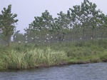 556R0015102.jpg