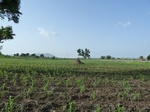 19359P1010205.JPG
