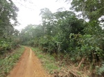 48139CIMG4476.JPG