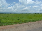 19644P1010491.JPG