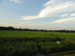 26112DSC01140.JPG