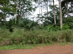 46193CIMG0482.JPG
